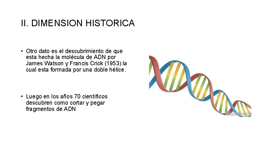 II. DIMENSION HISTORICA • Otro dato es el descubrimiento de que esta hecha la