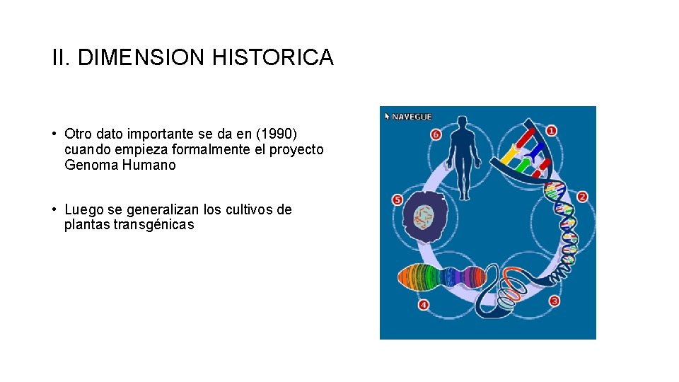 II. DIMENSION HISTORICA • Otro dato importante se da en (1990) cuando empieza formalmente