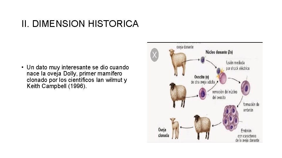 II. DIMENSION HISTORICA • Un dato muy interesante se dio cuando nace la oveja