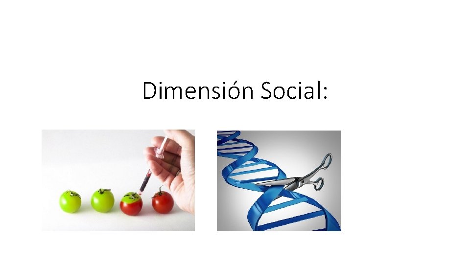 Dimensión Social: 