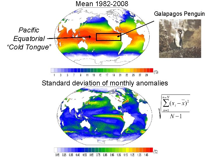 Mean 1982 -2008 Galapagos Penguin Pacific Equatorial “Cold Tongue” Standard deviation of monthly anomalies