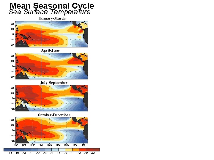 Mean Seasonal Cycle Sea Surface Temperature 