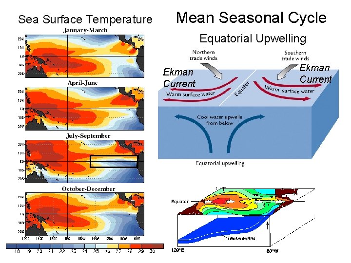 Sea Surface Temperature Mean Seasonal Cycle Equatorial Upwelling Ekman Current 