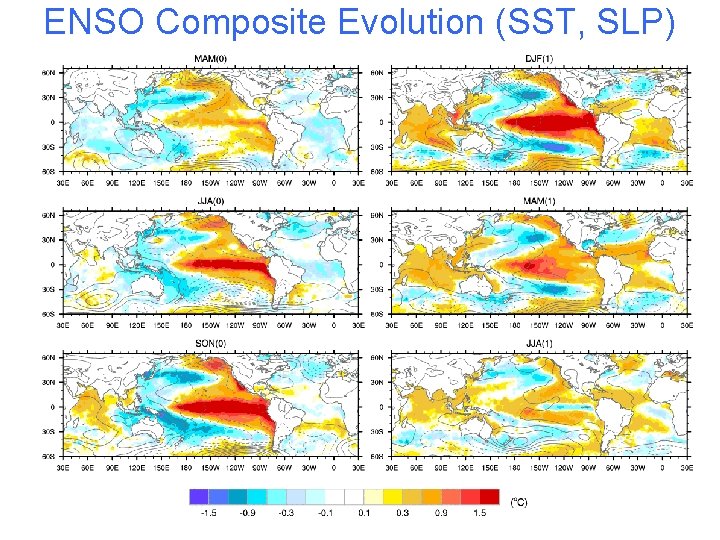 ENSO Composite Evolution (SST, SLP) 