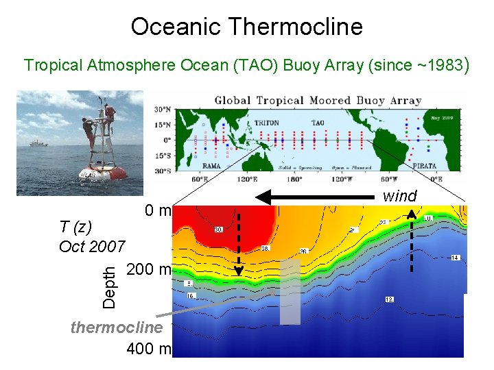 Oceanic Thermocline Tropical Atmosphere Ocean (TAO) Buoy Array (since ~1983) Depth T (z) Oct