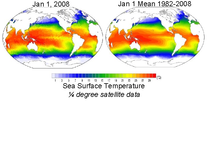 Jan 1, 2008 Jan 1 Mean 1982 -2008 Sea Surface Temperature ¼ degree satellite