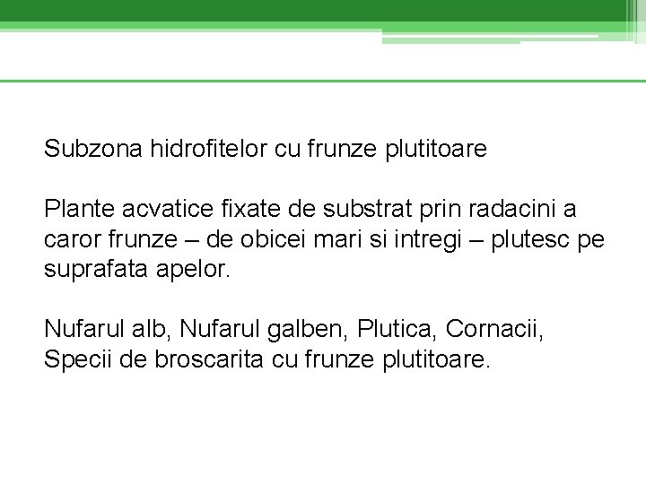 Subzona hidrofitelor cu frunze plutitoare Plante acvatice fixate de substrat prin radacini a caror