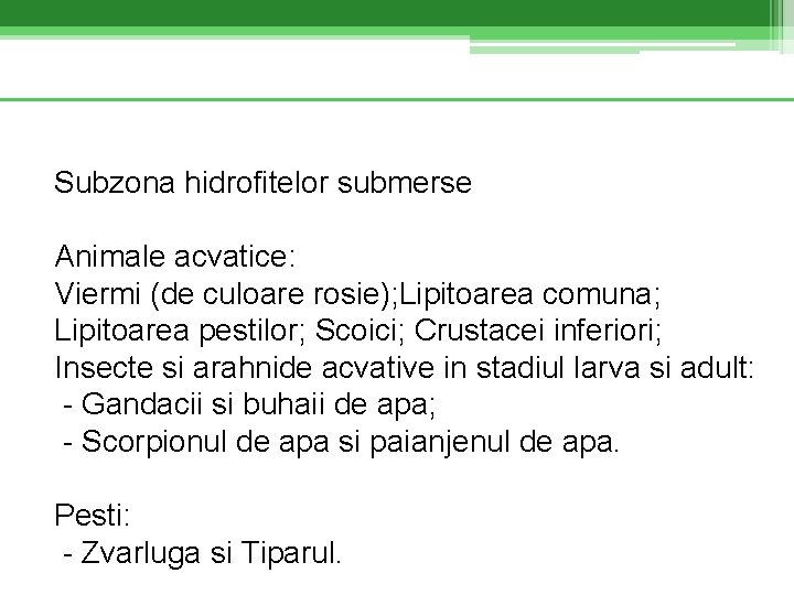 Subzona hidrofitelor submerse Animale acvatice: Viermi (de culoare rosie); Lipitoarea comuna; Lipitoarea pestilor; Scoici;