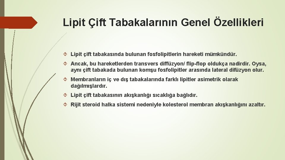 Lipit Çift Tabakalarının Genel Özellikleri Lipit çift tabakasında bulunan fosfolipitlerin hareketi mümkündür. Ancak, bu