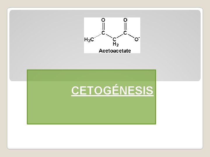 CETOGÉNESIS 