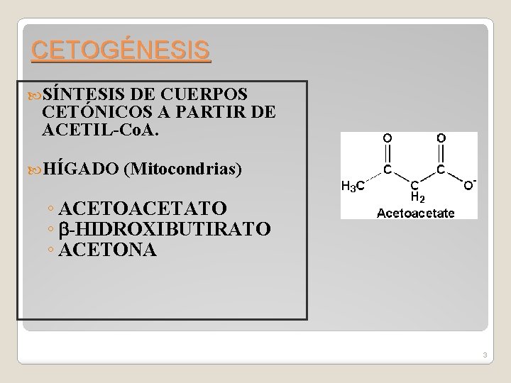 CETOGÉNESIS SÍNTESIS DE CUERPOS CETÓNICOS A PARTIR DE ACETIL-Co. A. HÍGADO (Mitocondrias) ◦ ACETOACETATO