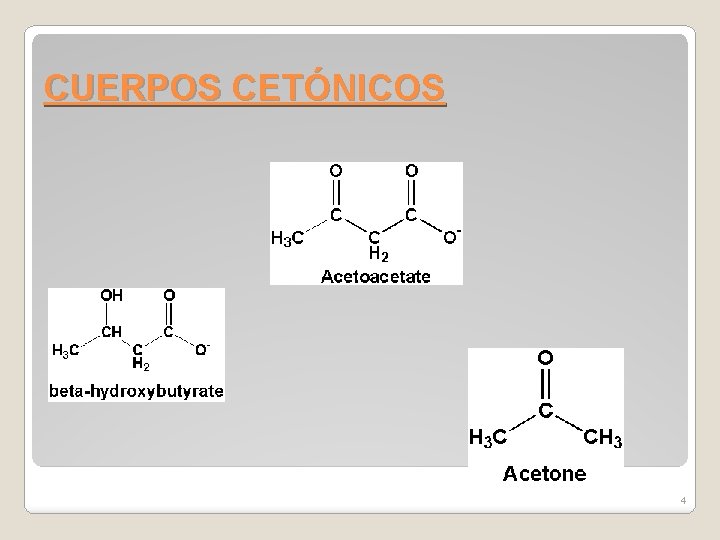 CUERPOS CETÓNICOS 4 