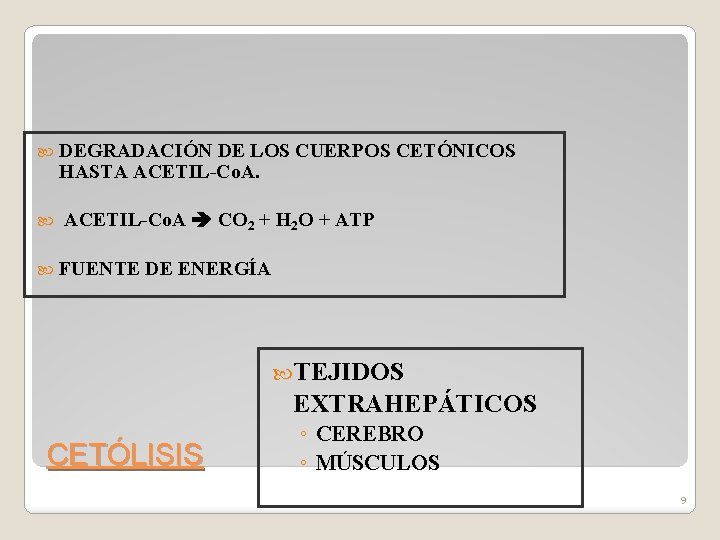  DEGRADACIÓN DE LOS CUERPOS CETÓNICOS HASTA ACETIL-Co. A CO 2 + H 2