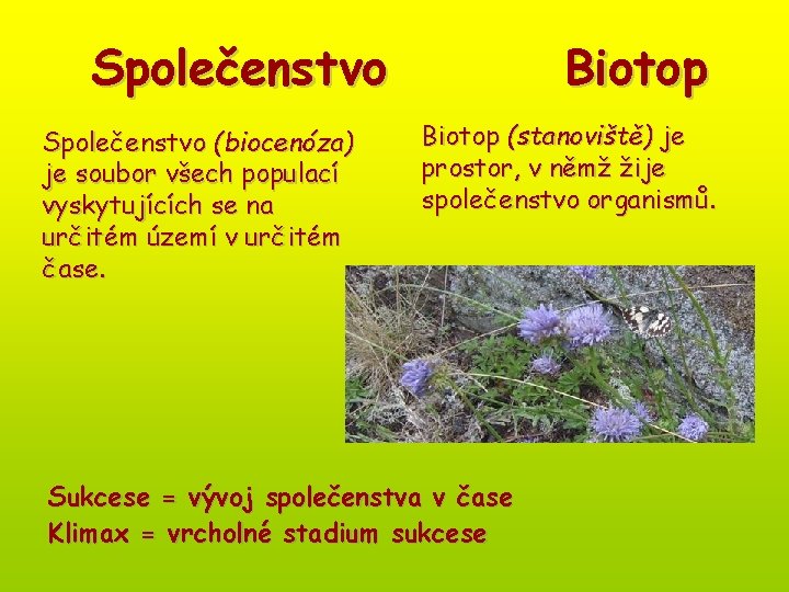 Společenstvo (biocenóza) je soubor všech populací vyskytujících se na určitém území v určitém čase.