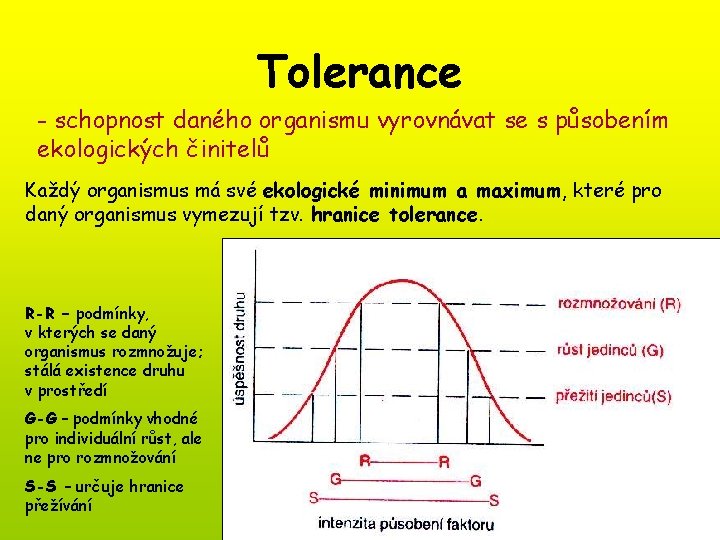 Tolerance - schopnost daného organismu vyrovnávat se s působením ekologických činitelů Každý organismus má