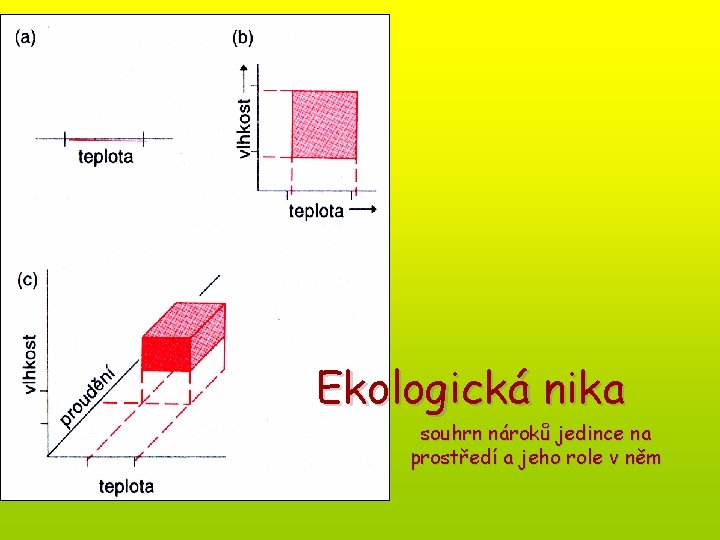 Ekologická nika souhrn nároků jedince na prostředí a jeho role v něm 