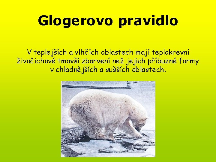 Glogerovo pravidlo V teplejších a vlhčích oblastech mají teplokrevní živočichové tmavší zbarvení než jejich