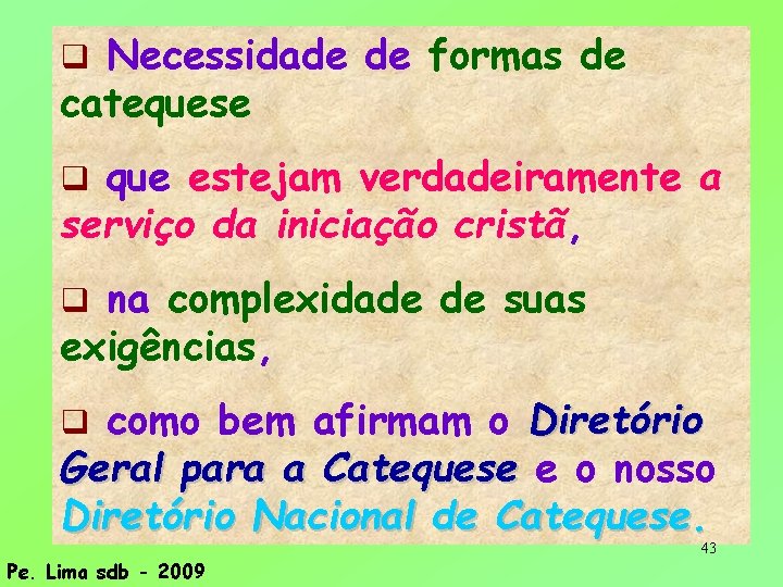 Necessidade de formas de catequese que estejam verdadeiramente a serviço da iniciação cristã, na