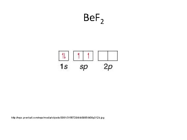 Be. F 2 http: //wps. prenhall. com/wps/media/objects/3081/3155729/blb 0905/bl 09 p 312 b. jpg 