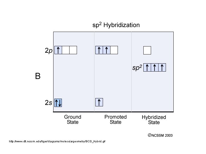 http: //www. dlt. ncssm. edu/tiger/diagrams/moleculargeometry/BCl 3_Hybrid. gif 