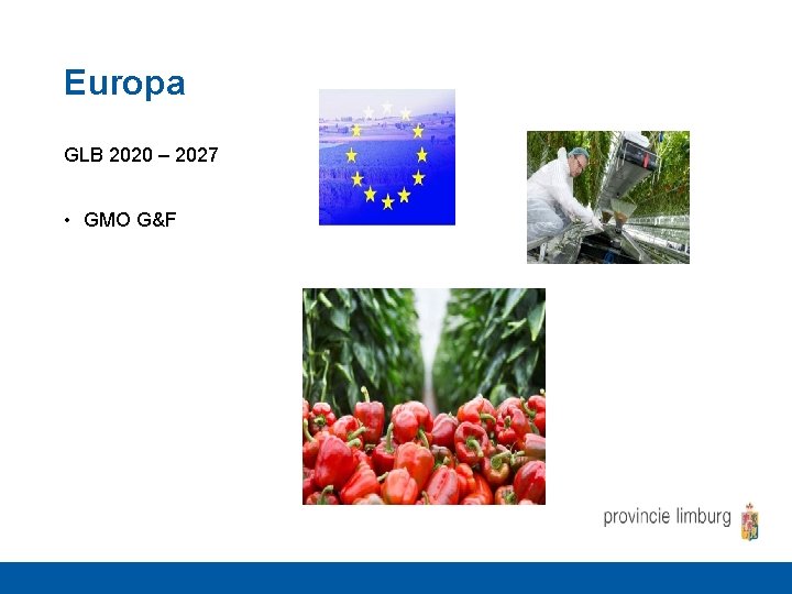 Europa GLB 2020 – 2027 • GMO G&F 