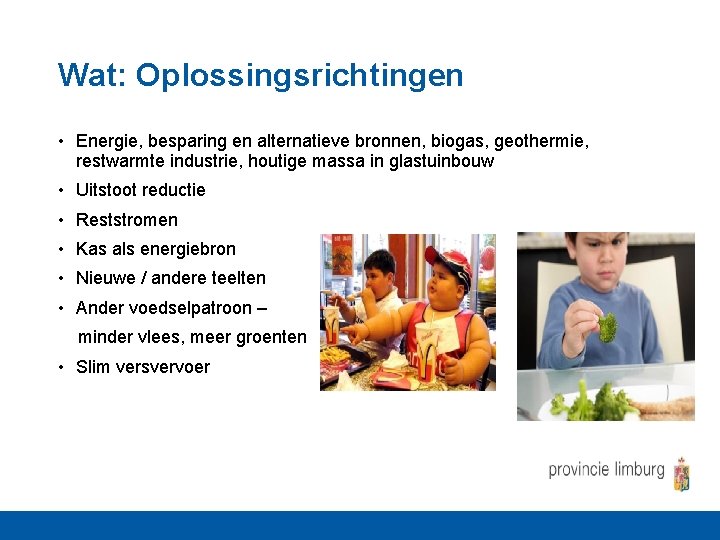 Wat: Oplossingsrichtingen • Energie, besparing en alternatieve bronnen, biogas, geothermie, restwarmte industrie, houtige massa