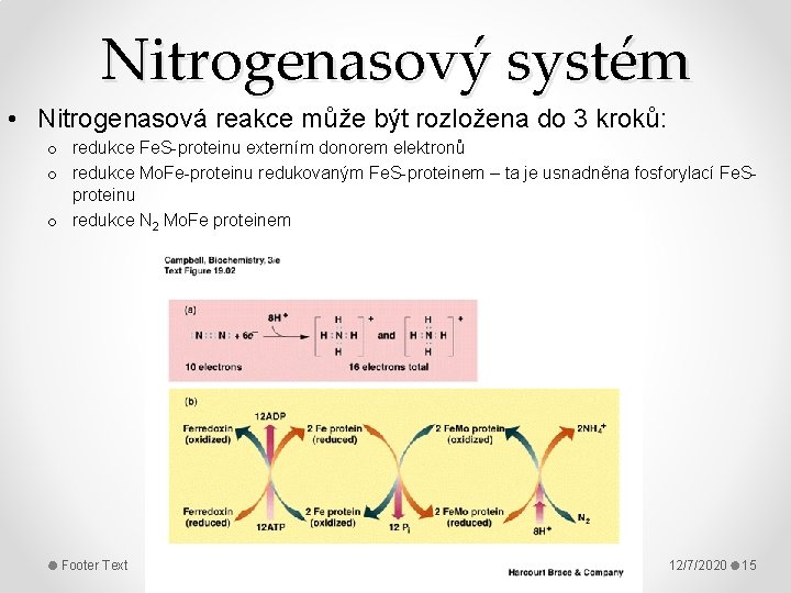 Nitrogenasový systém • Nitrogenasová reakce může být rozložena do 3 kroků: o redukce Fe.