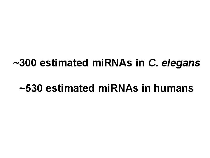 ~300 estimated mi. RNAs in C. elegans ~530 estimated mi. RNAs in humans 