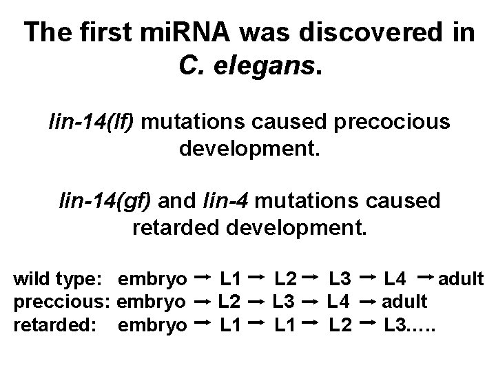 The first mi. RNA was discovered in C. elegans. lin-14(lf) mutations caused precocious development.