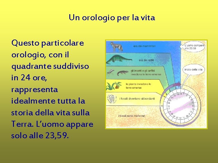 Un orologio per la vita Questo particolare orologio, con il quadrante suddiviso in 24