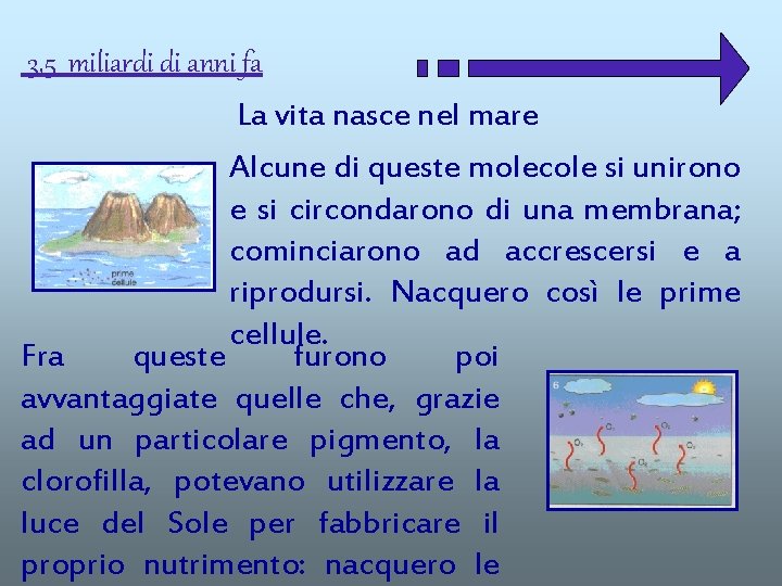 3, 5 miliardi di anni fa La vita nasce nel mare Alcune di queste