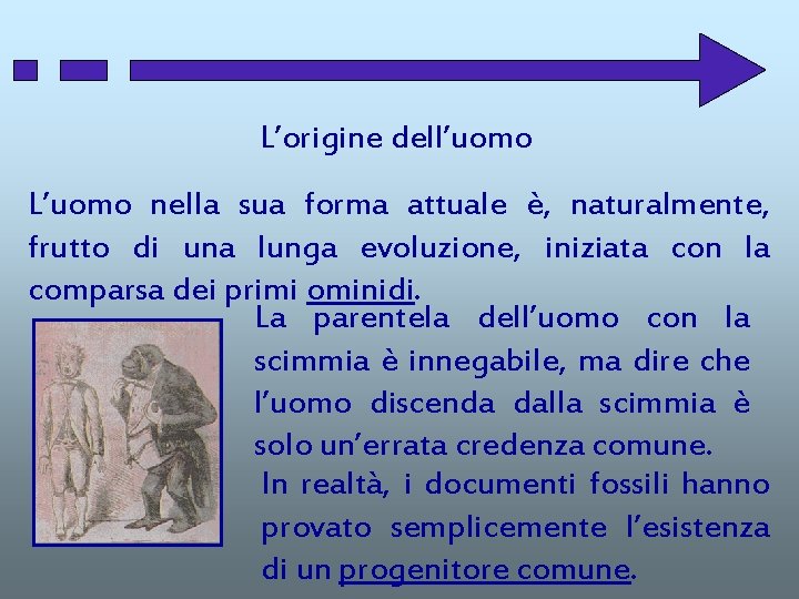 L’origine dell’uomo L’uomo nella sua forma attuale è, naturalmente, frutto di una lunga evoluzione,