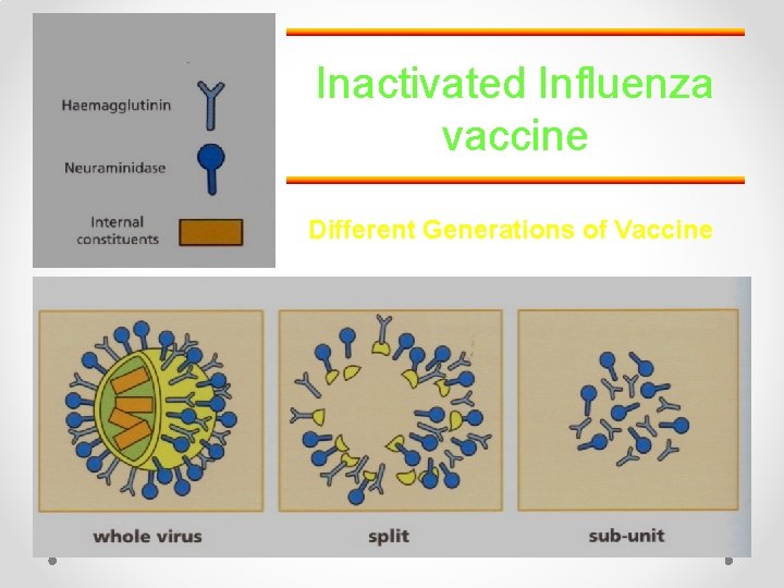 Inactivated Influenza vaccine Different Generations of Vaccine 