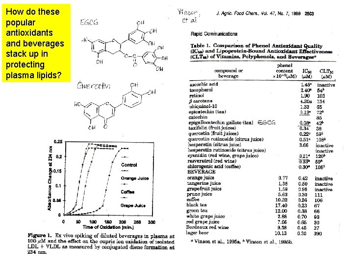 How do these popular antioxidants and beverages stack up in protecting plasma lipids? 