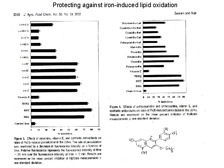 Protecting against iron-induced lipid oxidation 