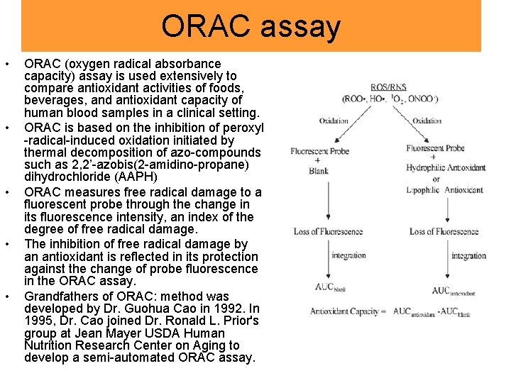 ORAC assay • • • ORAC (oxygen radical absorbance capacity) assay is used extensively