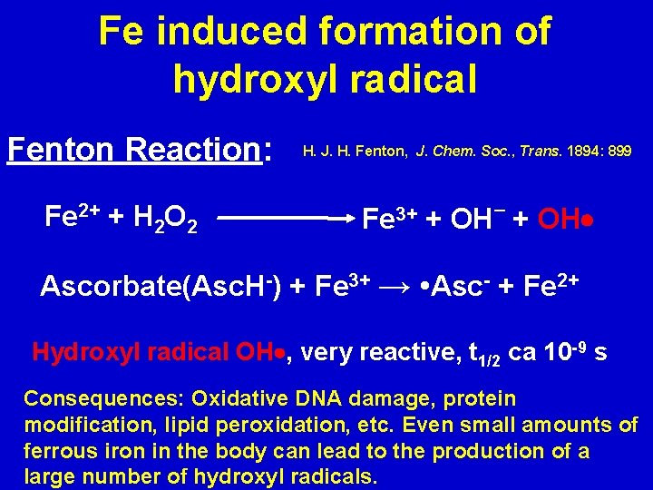 Fe induced formation of hydroxyl radical Fenton Reaction: Fe 2+ + H 2 O