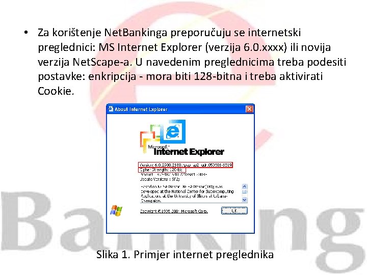  • Za korištenje Net. Bankinga preporučuju se internetski preglednici: MS Internet Explorer (verzija