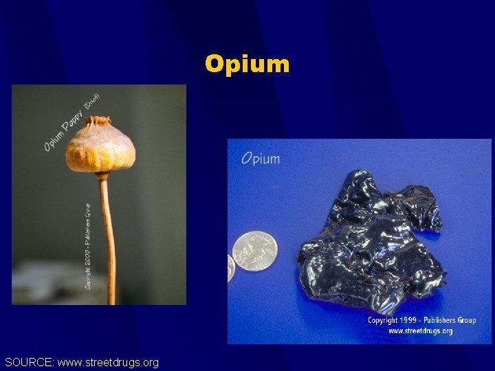 Opium SOURCE: www. streetdrugs. org 