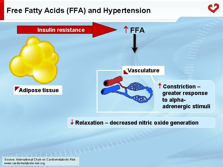 Free Fatty Acids (FFA) and Hypertension Insulin resistance FFA Vasculature Constriction – greater response