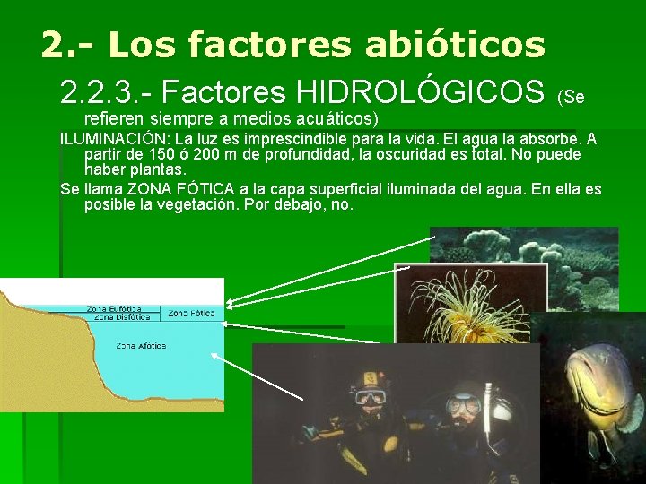 2. - Los factores abióticos 2. 2. 3. - Factores HIDROLÓGICOS (Se refieren siempre