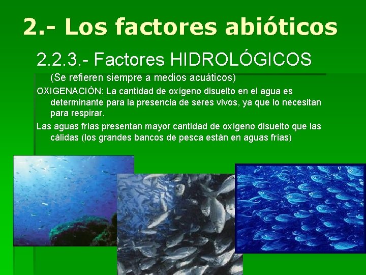 2. - Los factores abióticos 2. 2. 3. - Factores HIDROLÓGICOS (Se refieren siempre