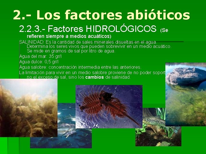 2. - Los factores abióticos 2. 2. 3. - Factores HIDROLÓGICOS (Se refieren siempre