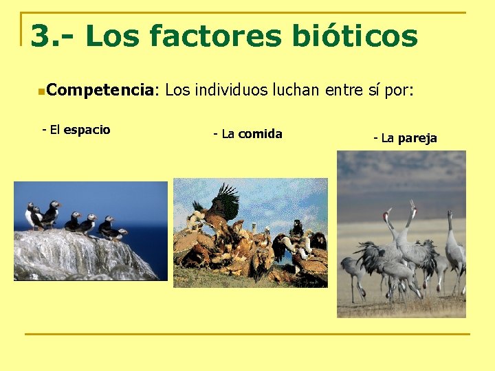 3. - Los factores bióticos n. Competencia: - El espacio Los individuos luchan entre