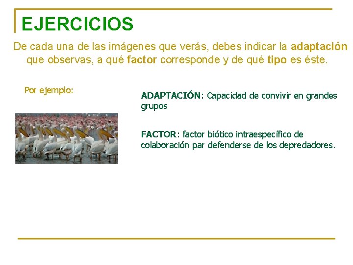 EJERCICIOS De cada una de las imágenes que verás, debes indicar la adaptación que