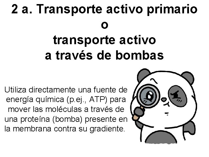 2 a. Transporte activo primario o transporte activo a través de bombas Utiliza directamente