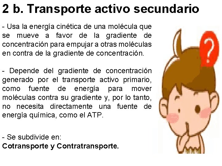 2 b. Transporte activo secundario - Usa la energía cinética de una molécula que