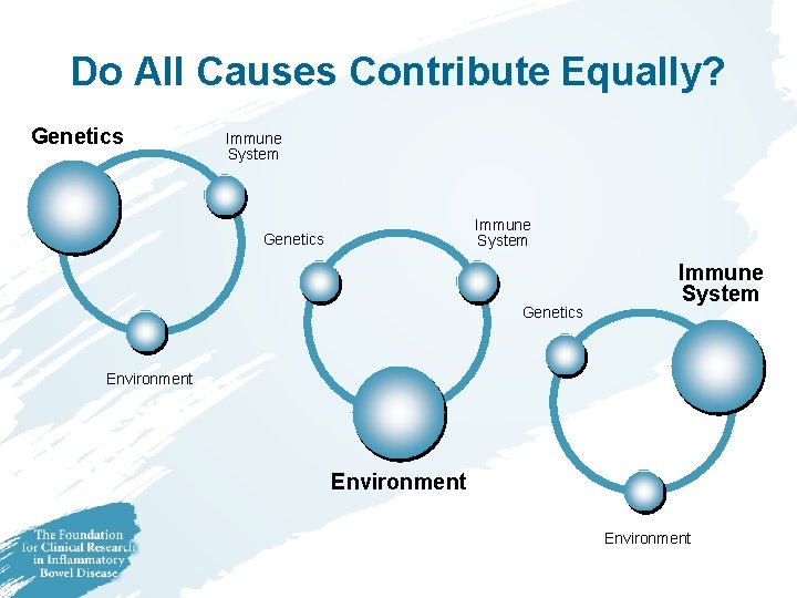 Do All Causes Contribute Equally? Genetics Immune System Environment 