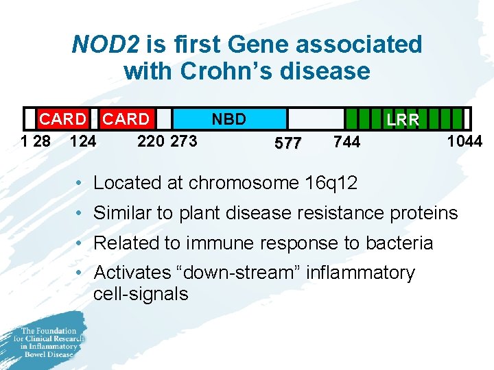 NOD 2 is first Gene associated with Crohn’s disease CARD NBD 1 28 124