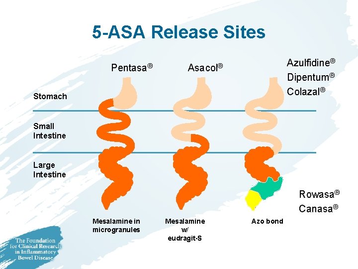 5 -ASA Release Sites Pentasa® Azulfidine® Dipentum® Colazal® Asacol® Stomach Small Intestine Large Intestine